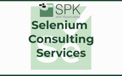 Selenium Consulting Services